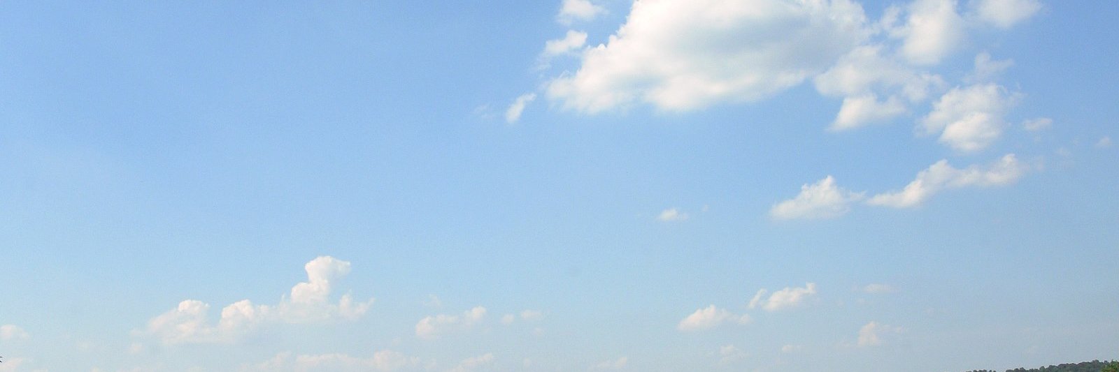 12Connect BV banner