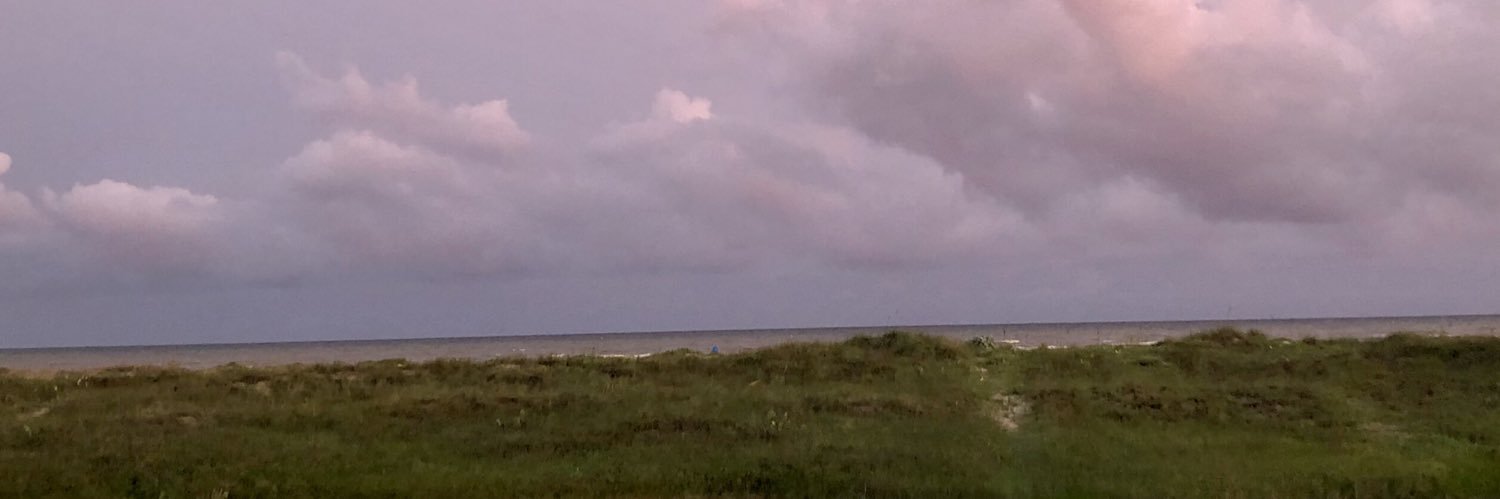 Hayemargo's profile banner image