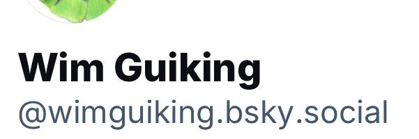 Wim Guiking banner