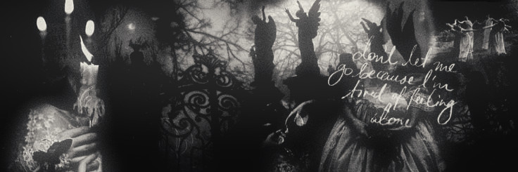 notturnius's profile banner image