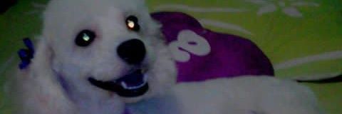 💗💗Karina💗💗 banner