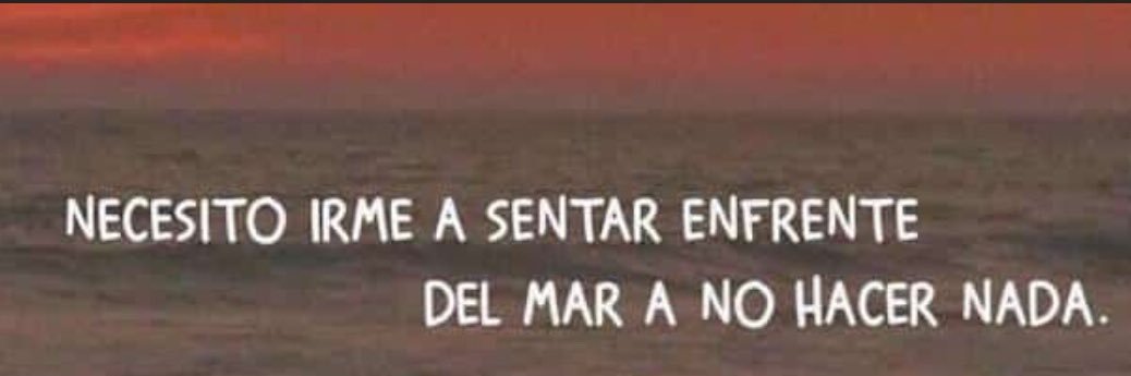 RoxyTღƷɔ̐ banner