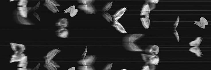 not_minah's profile banner image