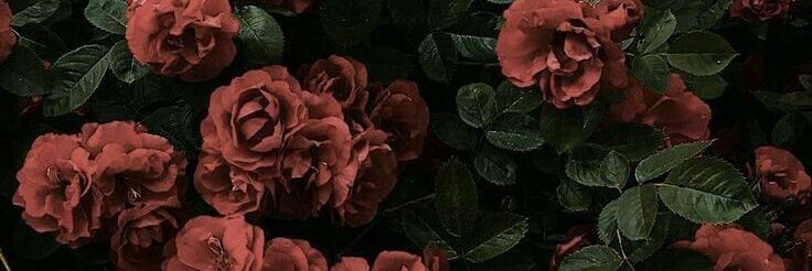 elsayanggg's profile banner image