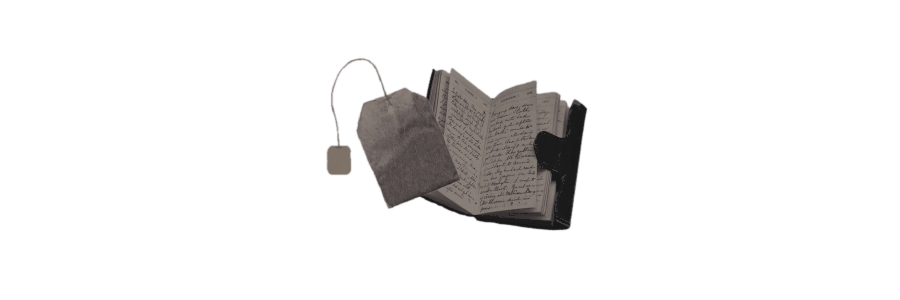 MR. 𝑱ANE's banner