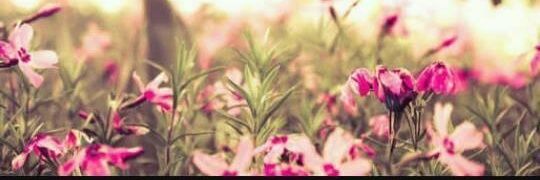 FathiyahIpat's profile banner image
