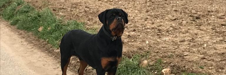 bekiroglu25's profile banner image