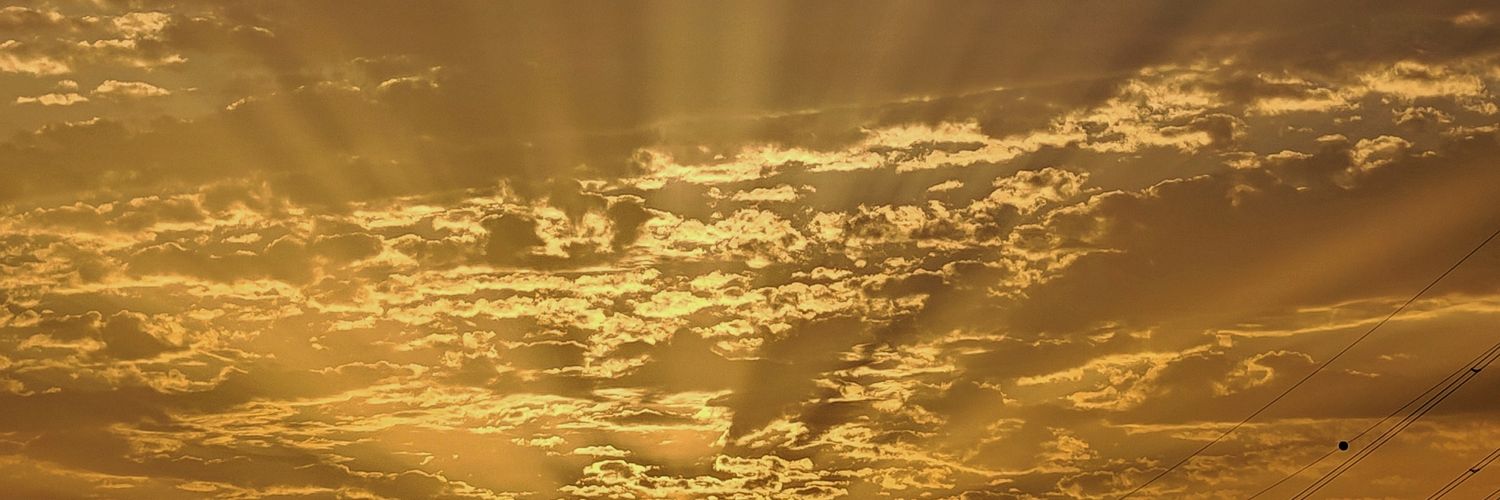 Liverhan0's profile banner image