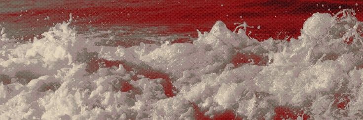 🐚 : 𝓐𝙚𝙧𝙞𝙣 banner