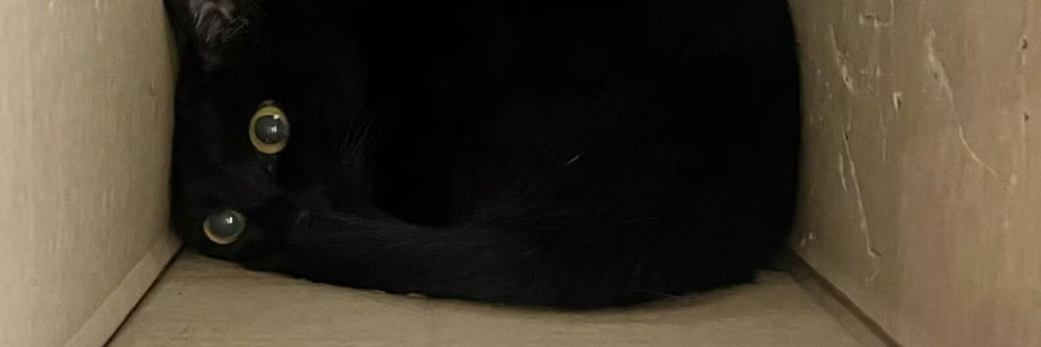 mictuoUwO's profile banner image