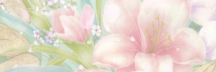 starsssssedt's profile banner image