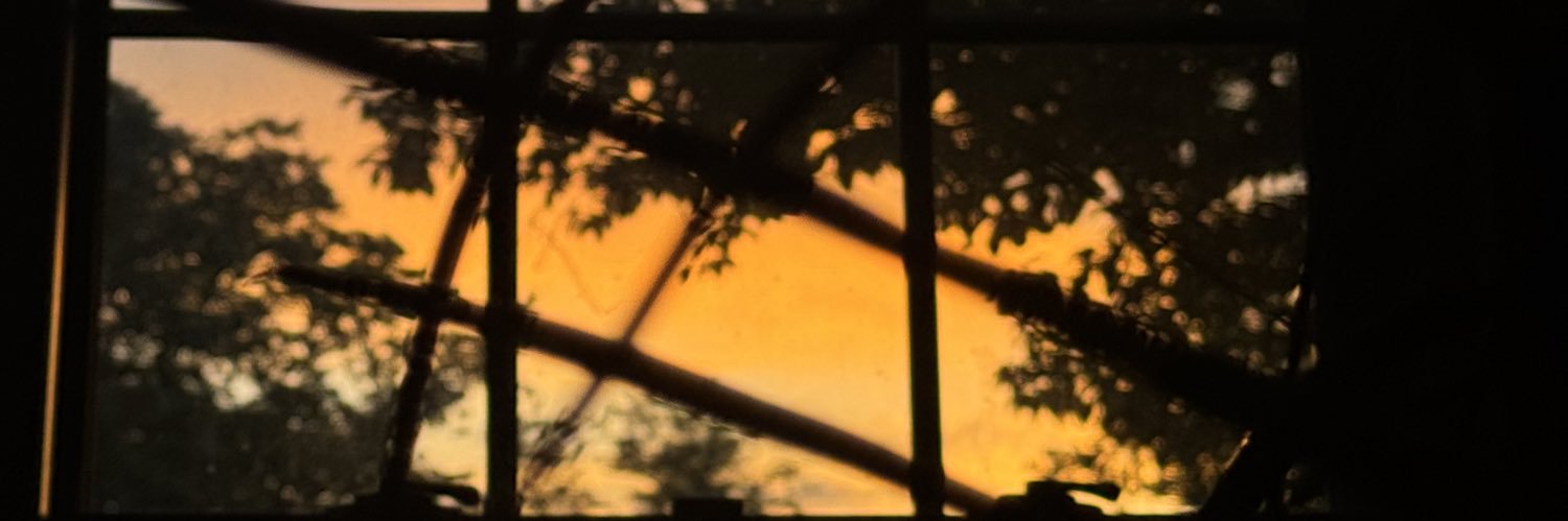 fostertyrese8's profile banner image