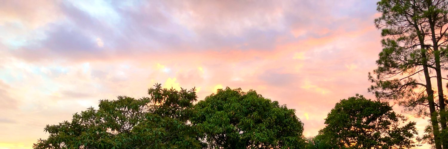 Nicola 💫 banner