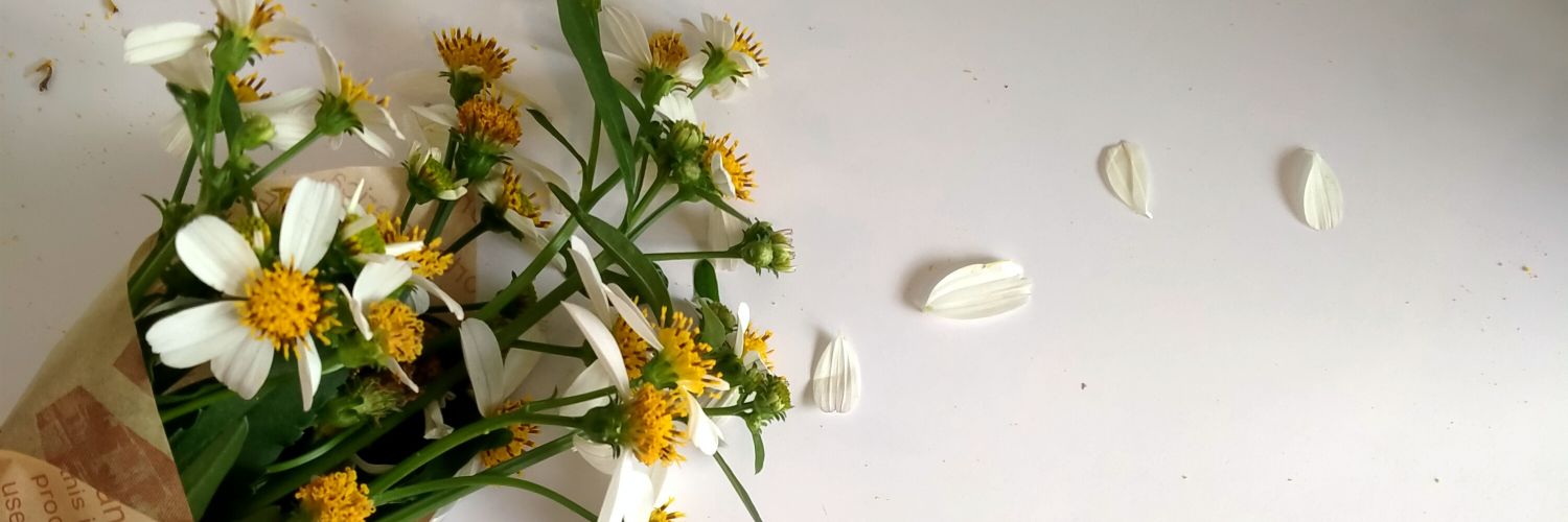 ɐɐɐɹɟ |||🕊️ banner
