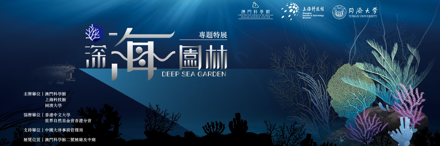 mscmacao's profile banner image