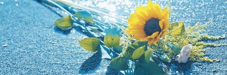 DaisukiEmrn's profile banner image