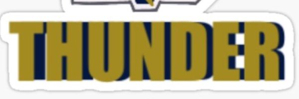 neil132029 Profile Banner