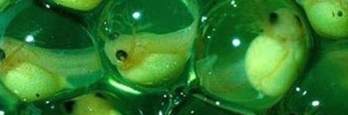 limbo666_'s profile banner image