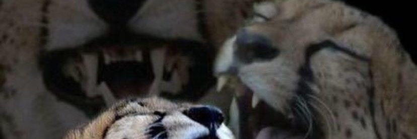 Pwertop5000's profile banner image