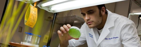 UFHortSci Profile Banner