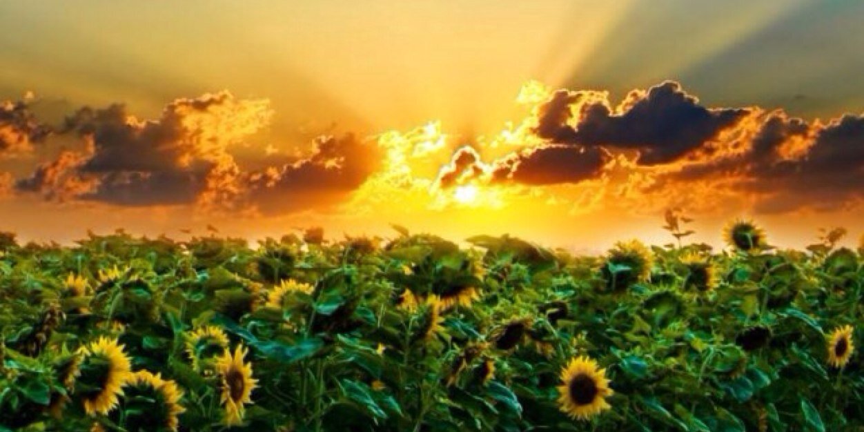 101930034's profile banner image