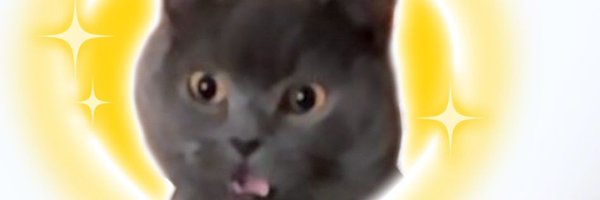 4not_found4 Profile Banner