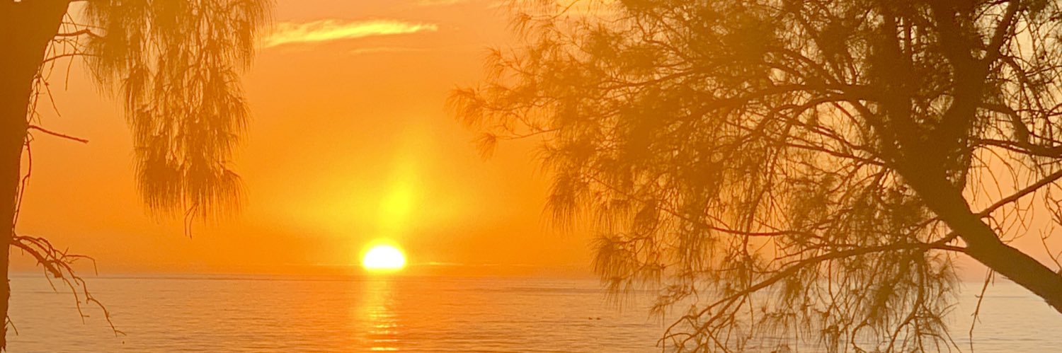 EnviroBooty's profile banner image