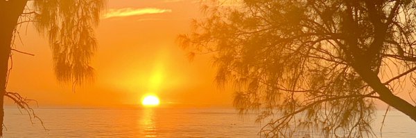 EnviroBooty Profile Banner