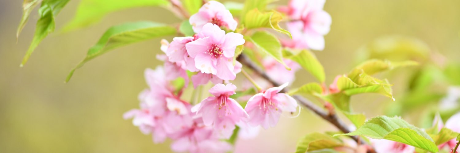 man__aby's profile banner image