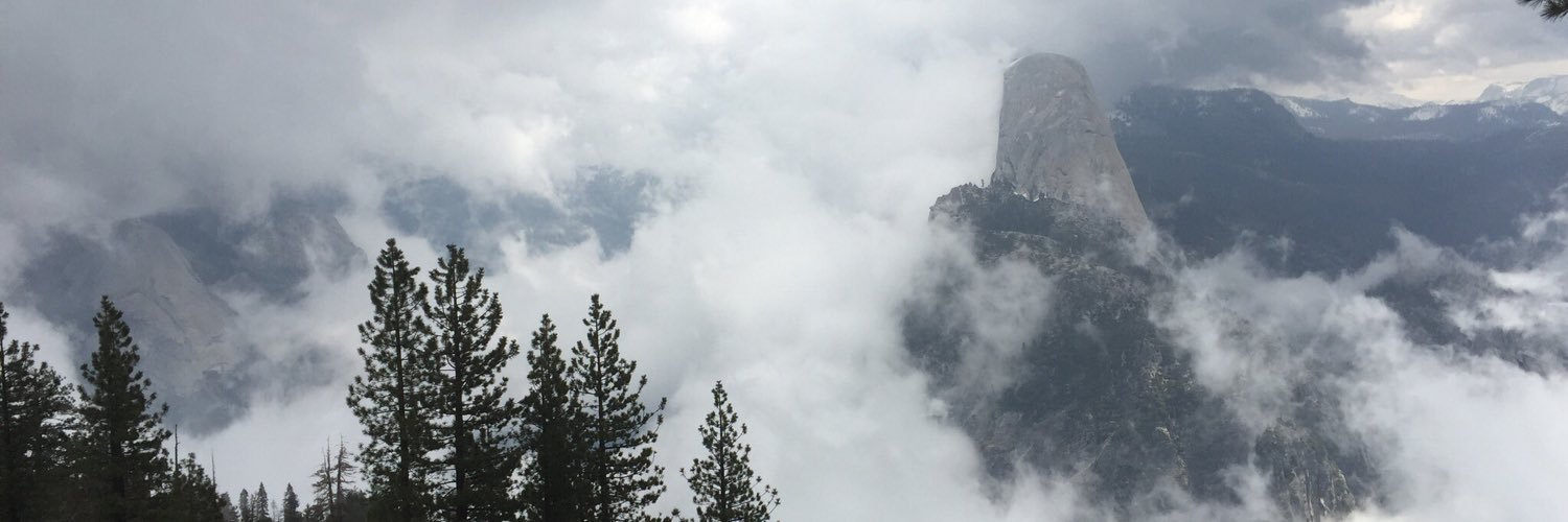 stanleyunfried's profile banner image