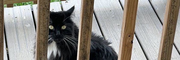 Koons17112 Profile Banner