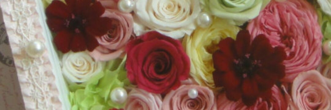 ocometei's profile banner image