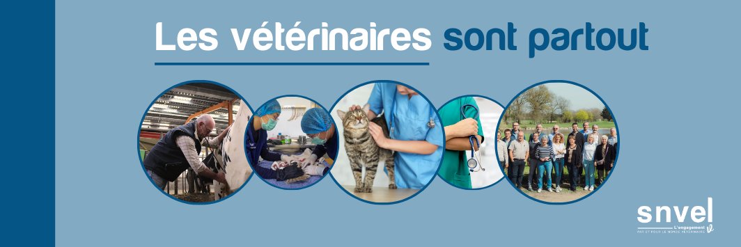 SNVEL - Vétérinaires banner