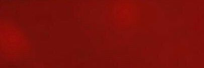 yans banner