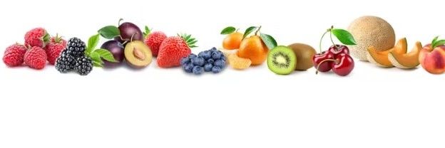 𝓝𝓾𝓽𝓻𝓲𝓸𝓵𝓸𝓰𝓪 𝓮𝓷 𝓒𝓪𝓷𝓬𝓾𝓷 🏝🌱🍋🥦 banner