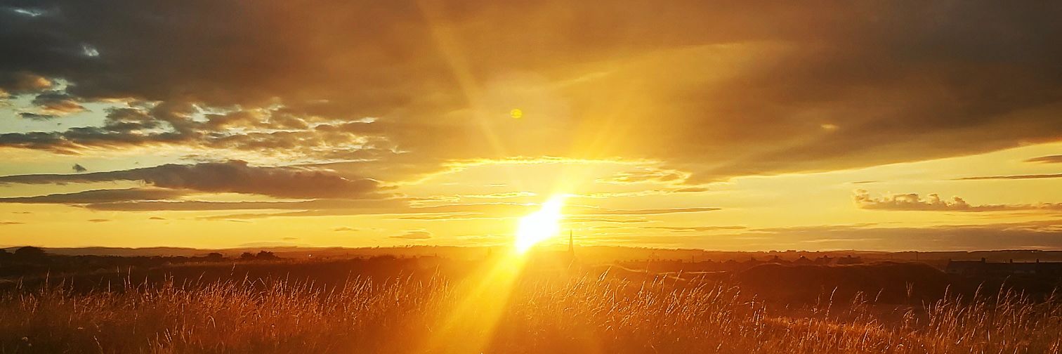 Ellie Hizzett banner