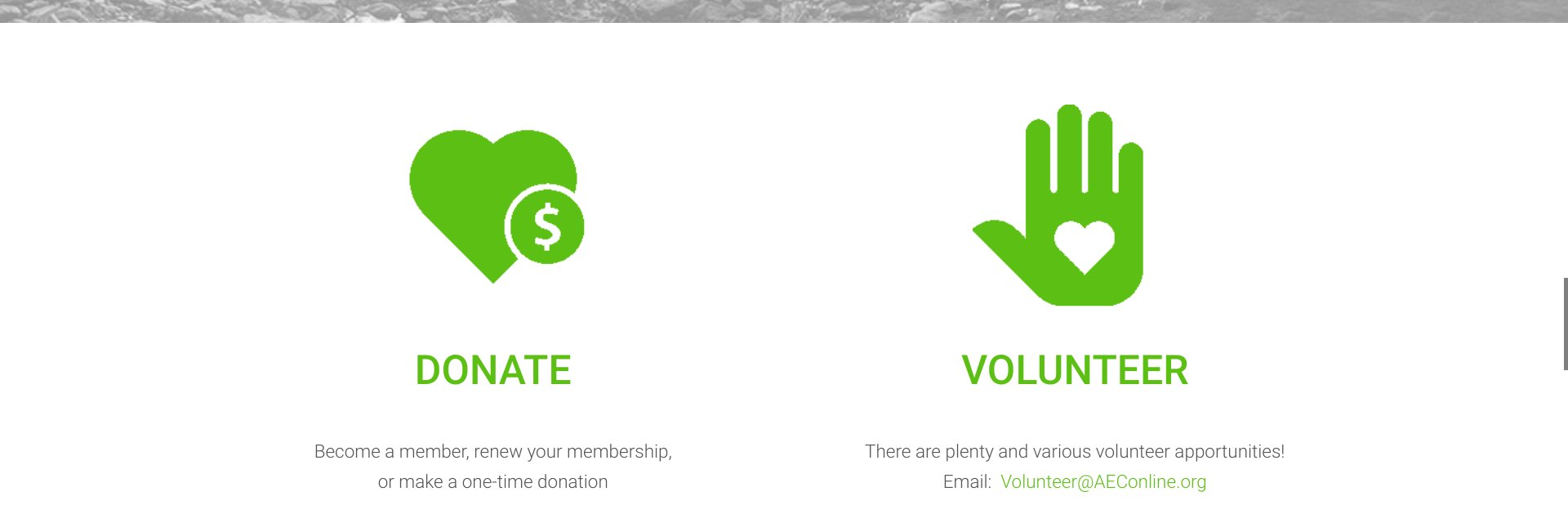 AEC online banner