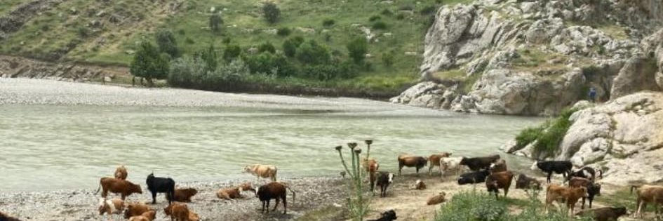 Zore Çayı Yaşatma Platformu banner