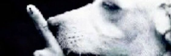 signedtlawrence's profile banner image