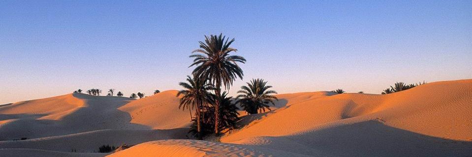 SaharaHacker's profile banner image