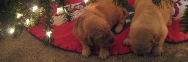 realMarkKJacobs Profile Banner