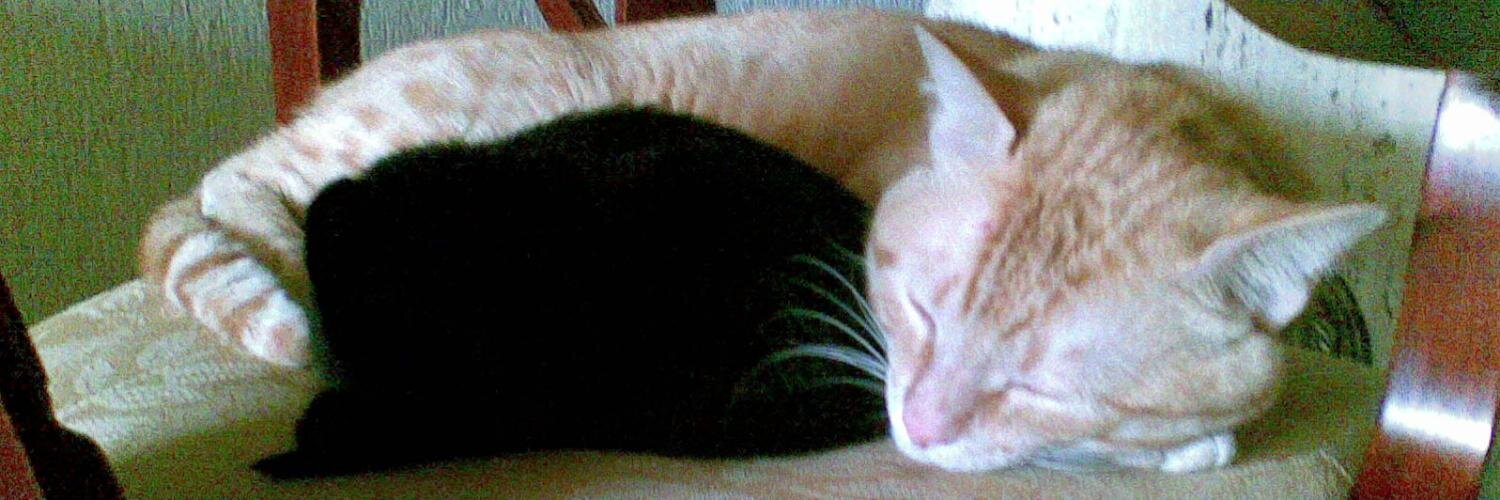 Alastriona Calderón 🇻🇪⛓️‍💥 banner