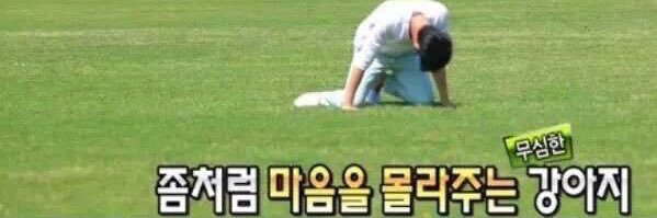 Kkori the Pupkeeper banner