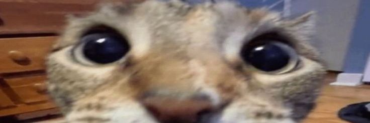 Dooip banner