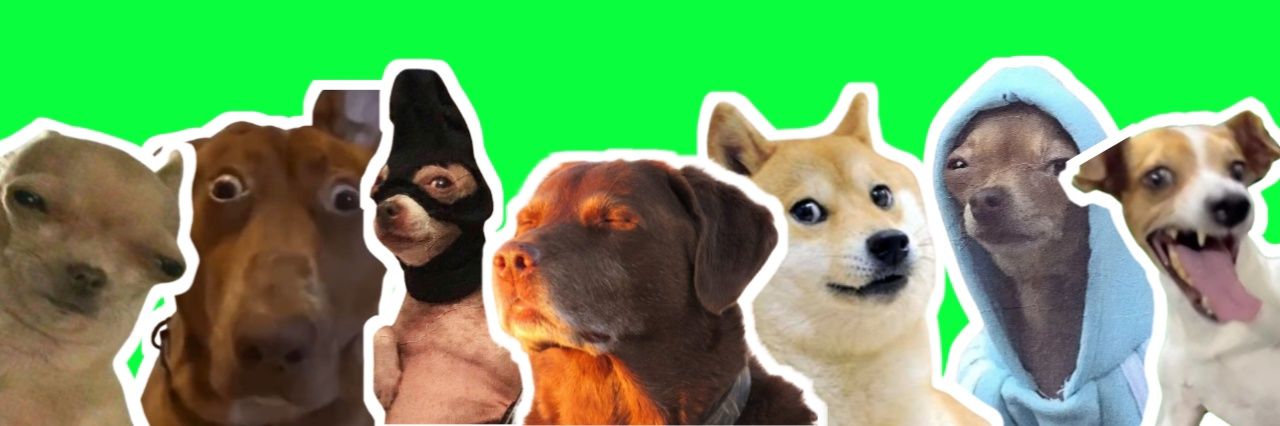 Doggy_rot's profile banner image