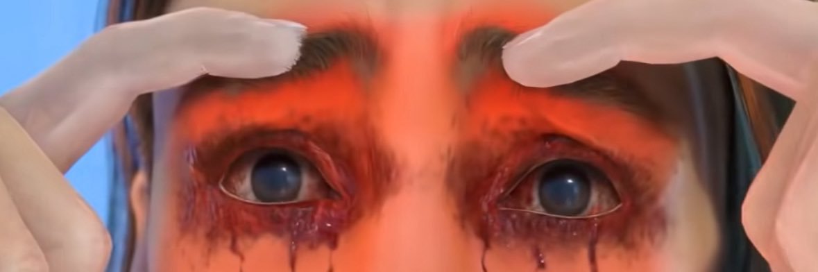 Lex’s Monkeys banner