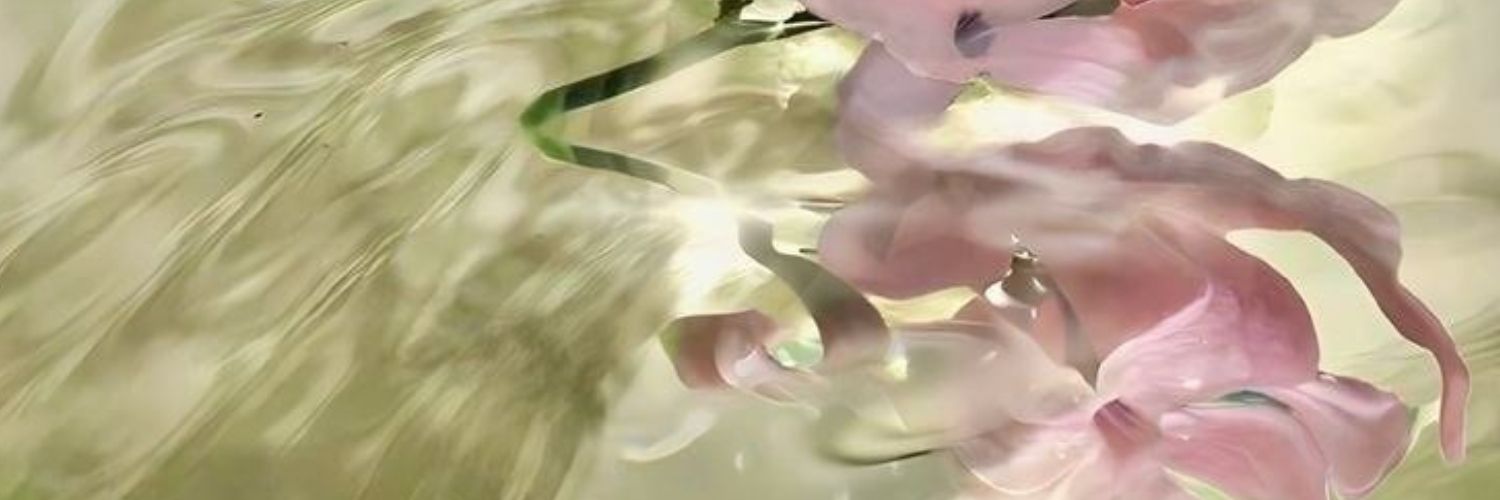 bibi ♡ banner