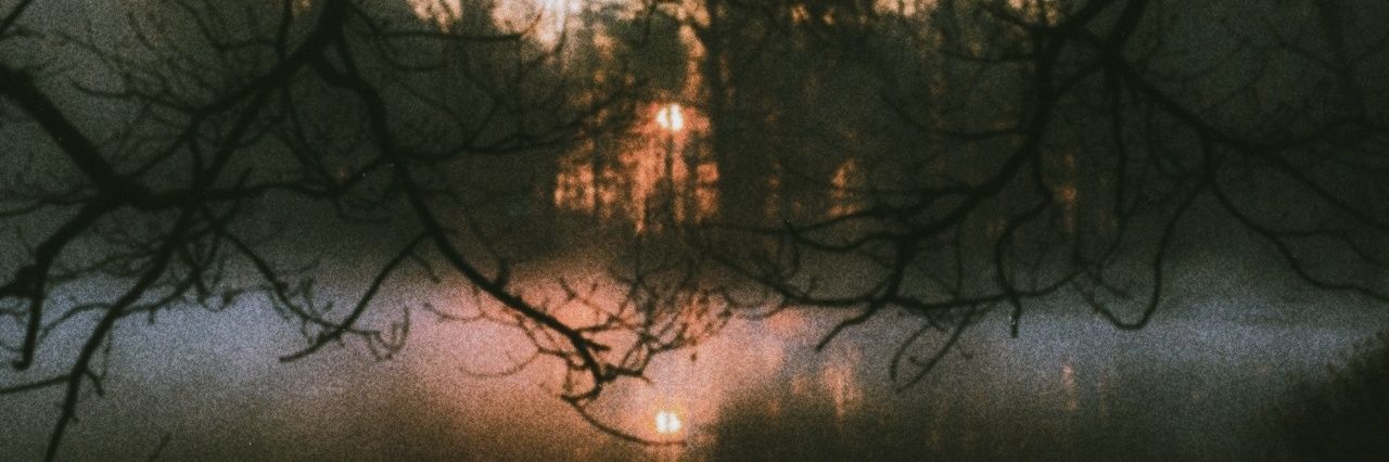 ꒰ 𖬺 vienna. ꒱ under co. 📌 banner