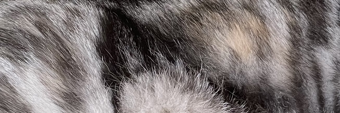 えくれあ ☺︎ ⛑️🦖 𝟟 Ⓜ️ banner