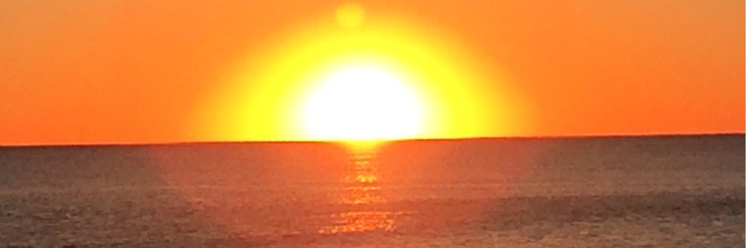 1Happy4Harvick's profile banner image